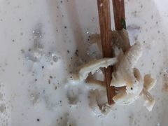 -赵家羊肉羊汤馆(车站总店)
