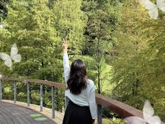 -云溪植物园