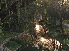 -北坞公园