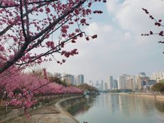 -望江楼公园