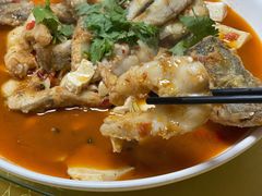 -煲来饱去冷水鱼