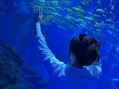 -威海华夏城景区