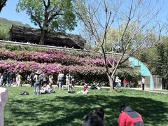 -红螺寺