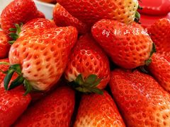 -盒马鲜生(龙首店)