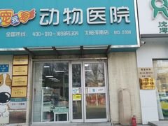 -瑞派宠物医院·24h·骨外科·皮肤科·全科宠物医疗转诊中心(沈阳浑南院)