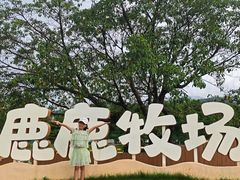 -盈香心动乐园