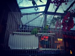 -束河人家(南锣鼓巷店)