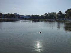 -长春市南湖公园