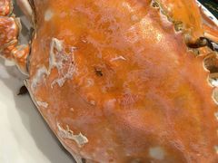 -北塘海鲜·天津菜(大光明桥旗舰店)
