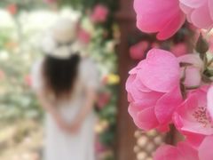 -上海滨江森林公园