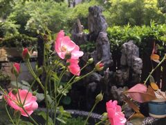 -春餐厅
