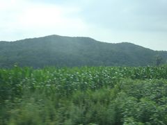 -凤凰山国家森林公园