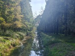 -黄海国家森林公园