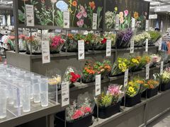 -鹿岛生活(熙地港店)