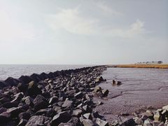 -南汇嘴观海公园