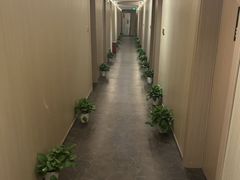 -青曼SPA·按摩·采耳·足道(龙之梦店)
