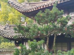 -天一阁博物院