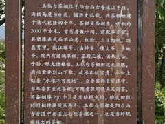 -阳台山自然风景区
