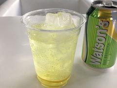 香草苏打水vanillawater-车谷小镇