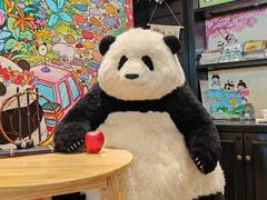 -轩客会(熊猫书店)