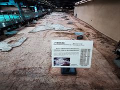 -南越王博物院(王宫展区)