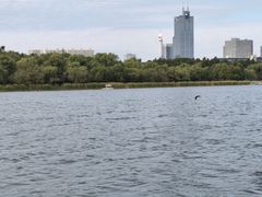 -长春市南湖公园