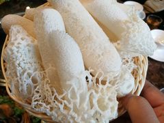 -菌海森林·非遗野生菌火锅(西山区滇池路摩根道店)