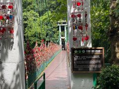 -西双版纳原始森林公园