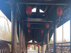 -合肥滨湖国家森林公园