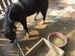 -泉州海丝野生动物世界