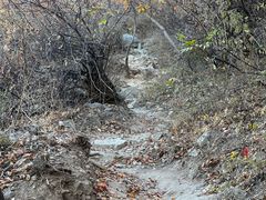 -北京西山国家森林公园