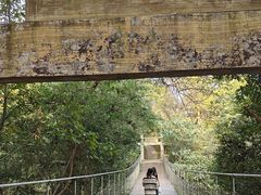 -敬亭山风景名胜区