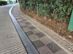-北极阁公园
