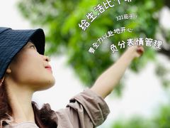 -万绿园