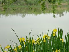 -白鹭湾湿地公园