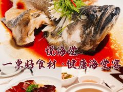 -悦海堂(金融街购物中心店)