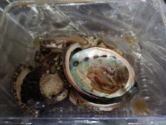 -盒马鲜生(馥邦国际店)