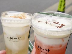 -一树一叶·福建茶档(石鼓路店)