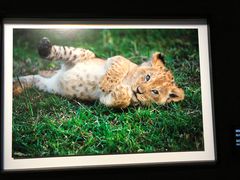 -罗红摄影艺术馆