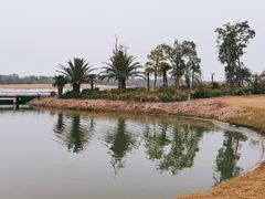 -棕榈滩海景高尔夫俱乐部