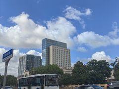 -南桥绿地铂骊酒店