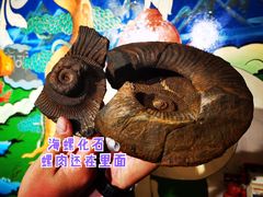 -吉祥圣雪藏餐