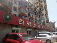 -白鹤大冷面
