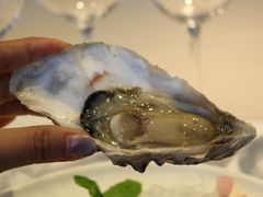 -Oyster Talks 四度蚝法餐厅