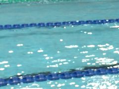 -重庆市奥林匹克体育中心-游泳跳水馆