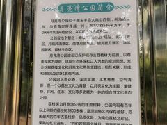 -月亮湾公园