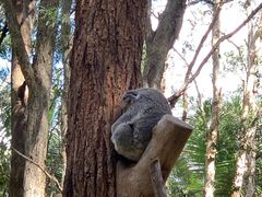 -可伦宾野生动物保护区