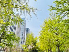 -童牛岭风景区