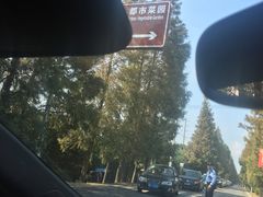 -上海都市菜园