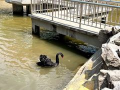 -森林公园(尖草坪区)